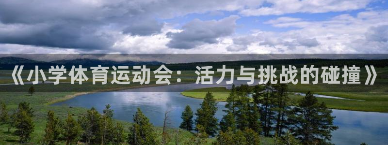 MK体育官方正版app集团简介：《小学体育运动会：活