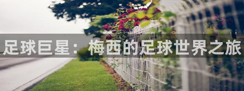 MK体育官方正版app娱乐网站