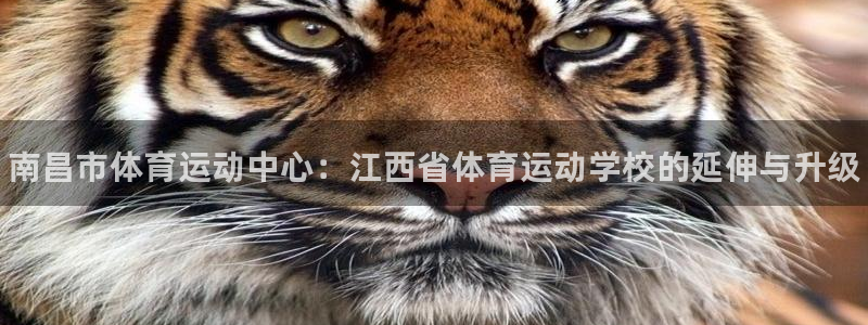 海南MK体育官网下载：南昌市体育运动中心：江西省体育运动学校