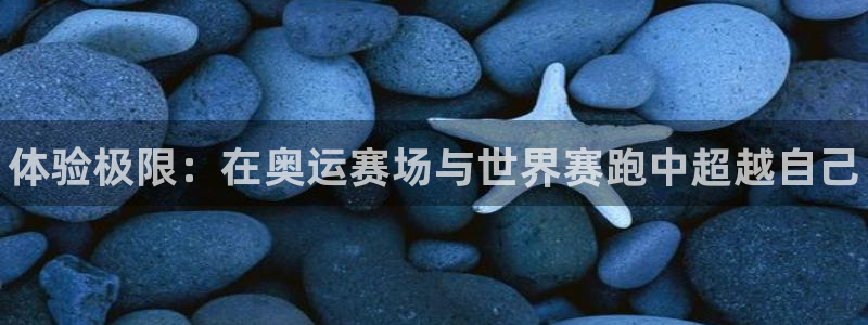 MK体育官网下载
