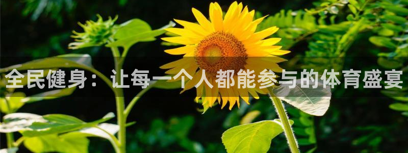 MK体育官方正版app五金厂