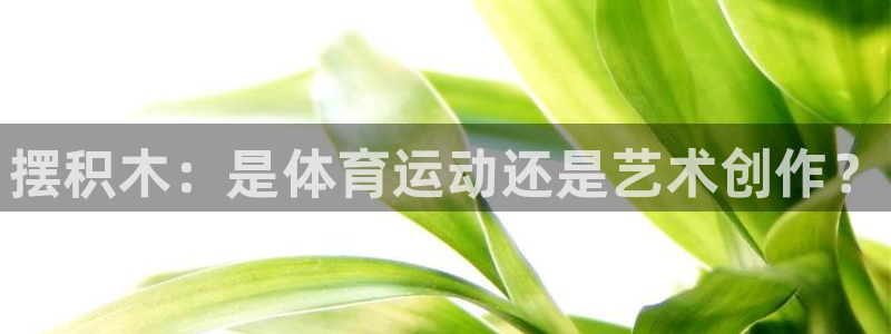 MK体育官网下载开户：摆积木：是体育运动还是艺术创作？