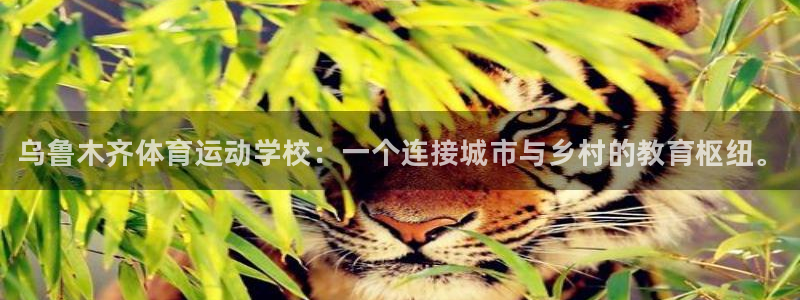 MK体育官网下载平台注册要钱吗安全吗：乌鲁木齐体育运动学校：