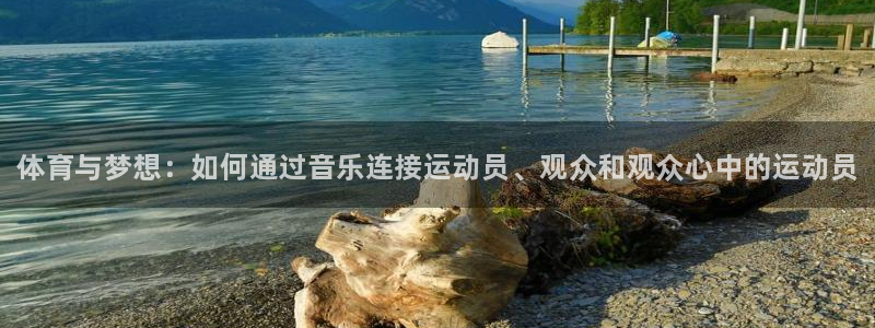 德国MK体育官方正版app集团：体育与梦想：如何通过音乐连接