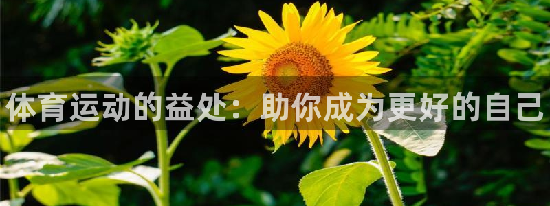 MK体育官方正版app集团E.ON：体育运动的益处：助你成为