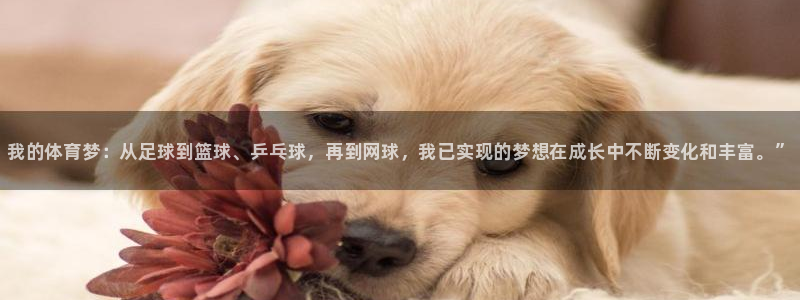 MK体育官网下载招商电话号码是多少啊：我的体育梦：从足球到篮