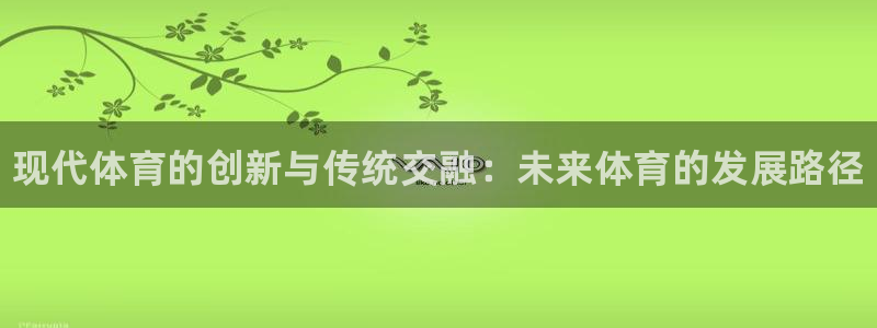 MK体育官方正版app集团简介
