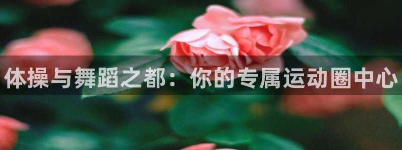 MK体育官网下载平台是正规平台吗知乎：体操与舞蹈之都