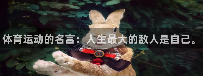 MK体育官方正版app集团官网网址：体育运动的名言：人生最大