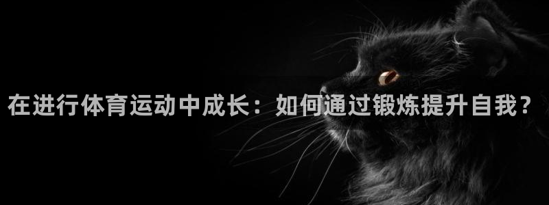 MK体育官方正版app神州