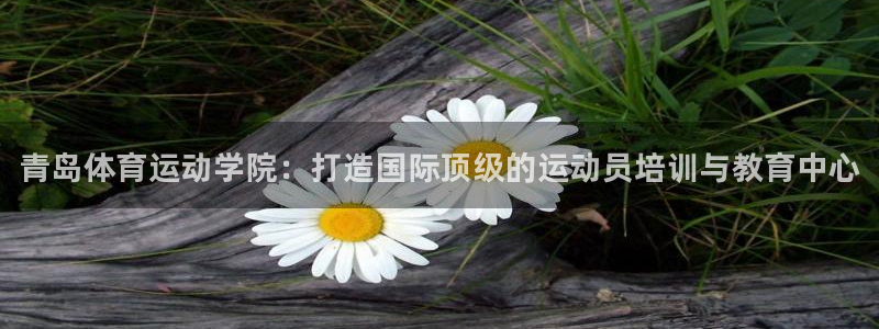 MK体育官方正版app开户：青岛体育运动学院：打造国际顶级的
