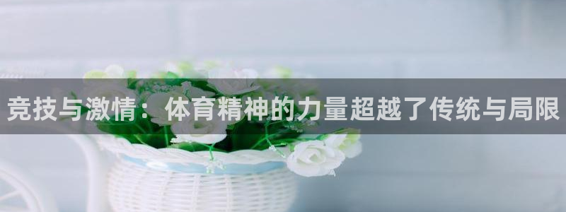 MK体育官网下载招商电话地址：竞技与激情：体育精神的