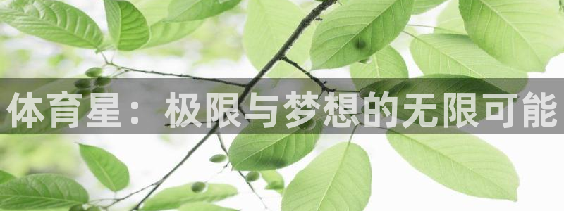 MK体育官网下载平台假的吗是真的吗吗：体育星：极限与梦想的无