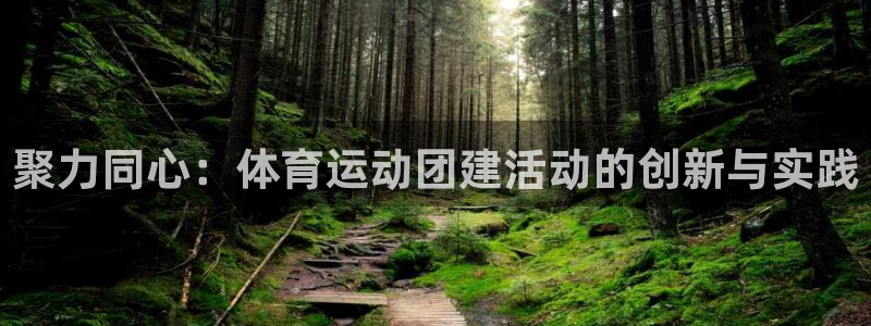 MK体育官方正版app娱乐网站：聚力同心：体育运动团