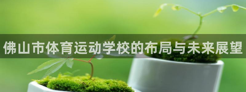 MK体育官方正版app开户：佛山市体育运动学校的布局