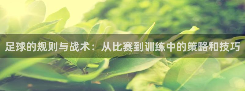 MK体育官网下载招商：足球的规则与战术：从比赛到训练中的策略