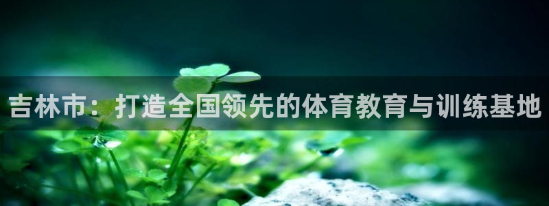 MK体育官方正版app娱乐首页网站大全：吉林市：打造