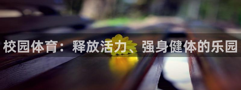 MK体育官方正版app集团：校园体育：释放活力、强身健体的乐