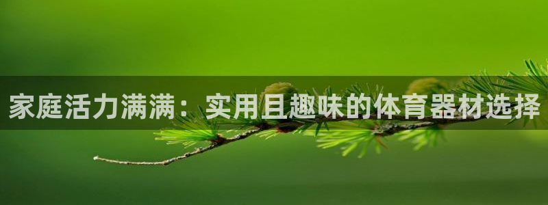 MK体育官网下载平台是正规平台吗：家庭活力满满：实用且趣味的