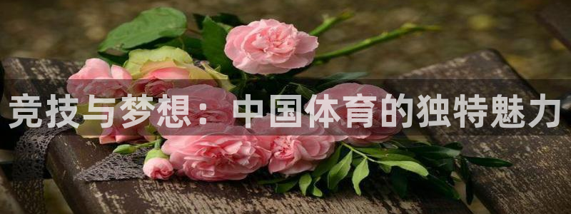 MK体育官方正版app五金厂：竞技与梦想：中国体育的