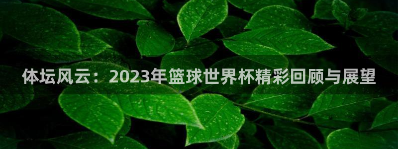 MK体育官方集团官网：体坛风云：2023年篮球世界杯