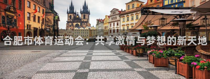 德国MK体育官方正版app集团：合肥市体育运动会：共