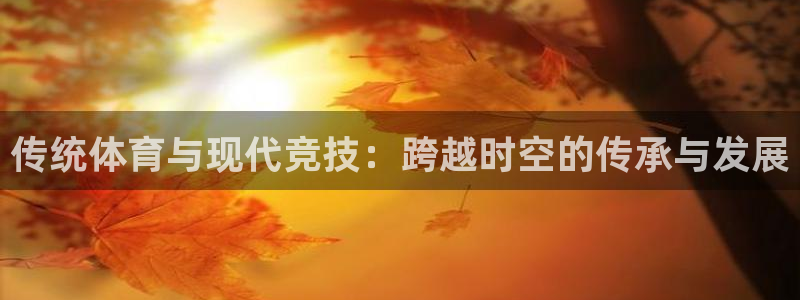 MK体育官方正版app集团E.ON：传统体育与现代竞