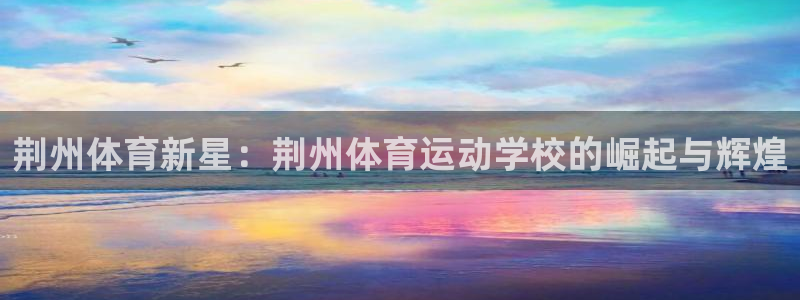 MK体育官方正版app娱乐首页官网下载：荆州体育新星