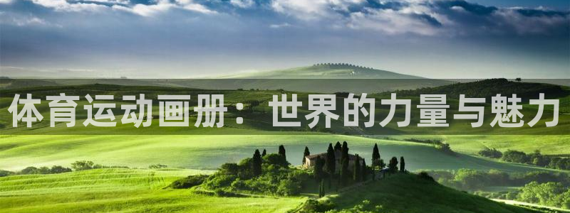 海南MK体育官网下载