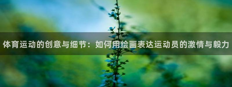 MK体育官方正版app神州：体育运动的创意与细节：如何用绘画