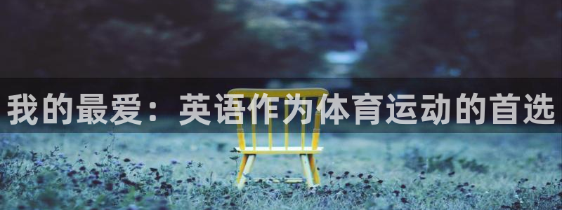 MK体育官网下载平台是正规平台吗：我的最爱：英语作为