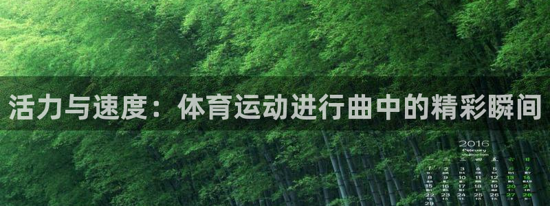 MK体育官网下载招商：活力与速度：体育运动进行曲中的