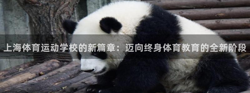 MK体育官方正版app集团官网网址：上海体育运动学校的新篇章