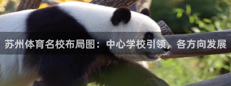 MK体育官方正版app官网：苏州体育名校布局图：中心