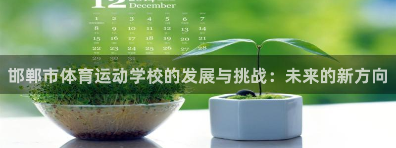 MK体育官方正版app科技：邯郸市体育运动学校的发展与挑战：