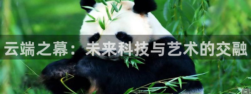看球jrs直播吧：云端之幕：未来科技与艺术的交融